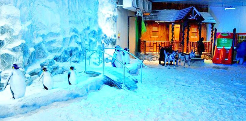 Snow World, Kamani